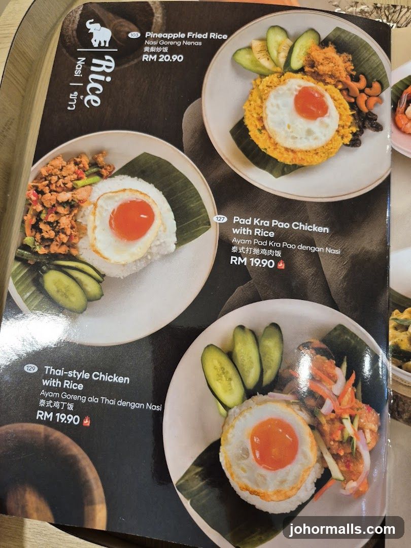 Rice Nasi Menu