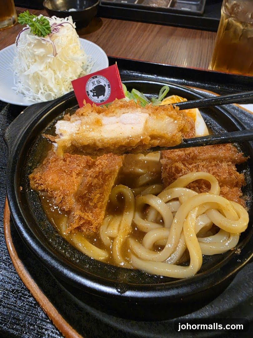 Udon Dish with Fried Pork