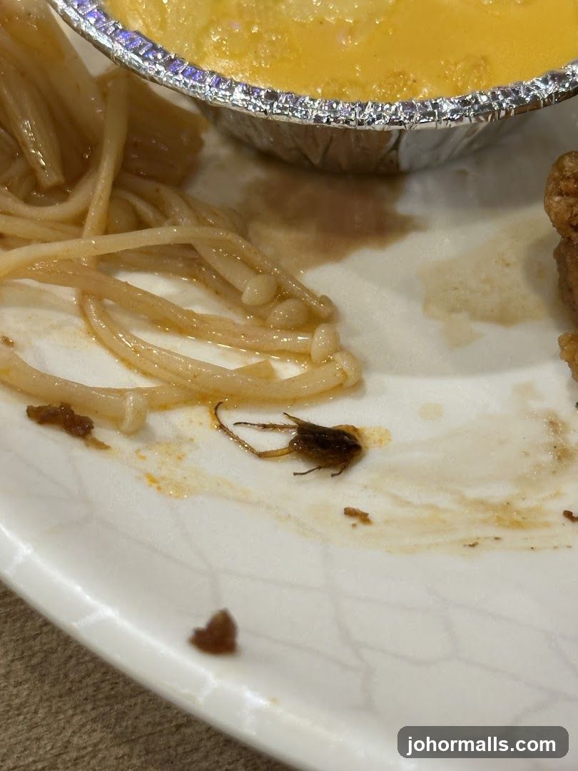 Food Residue on Plate