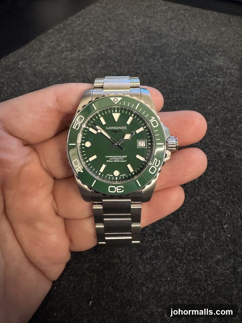 Hand Holding Watch