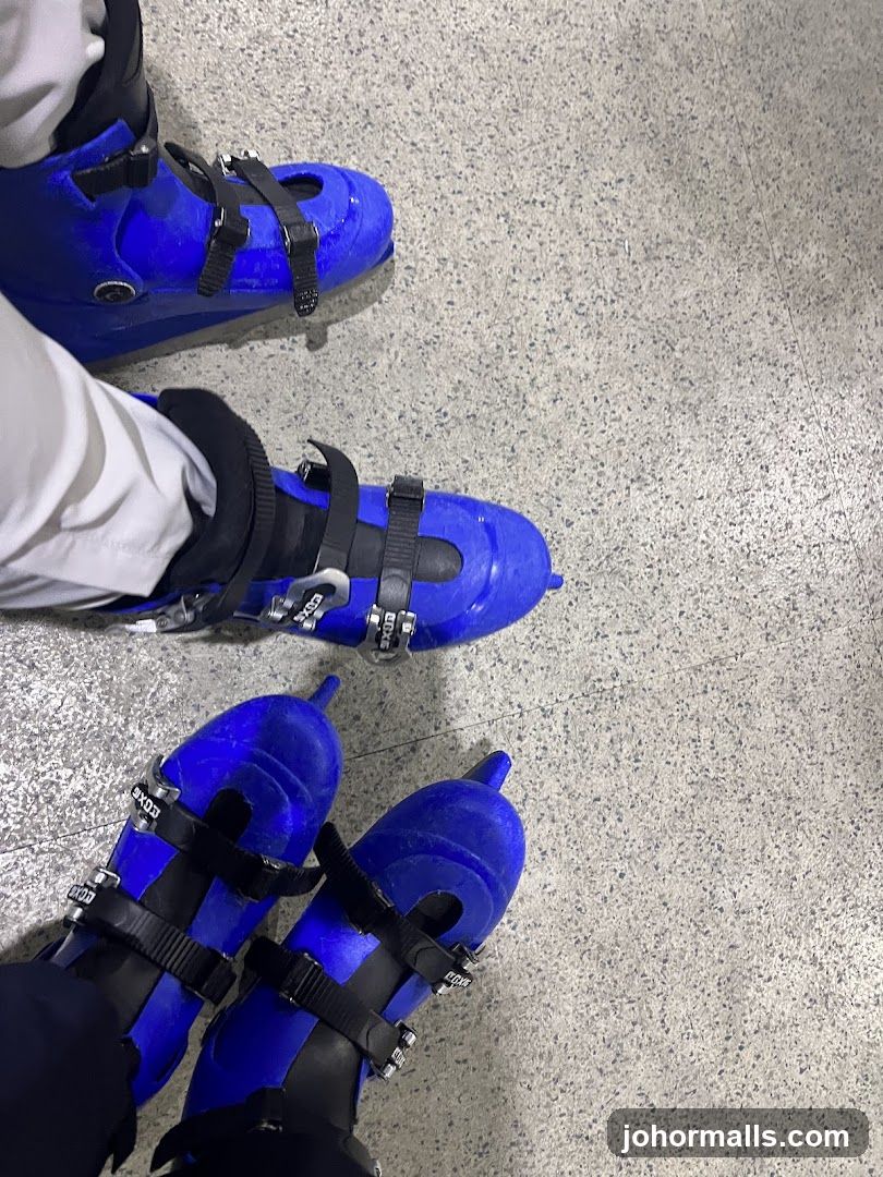 Blue Roller Skates on Floor