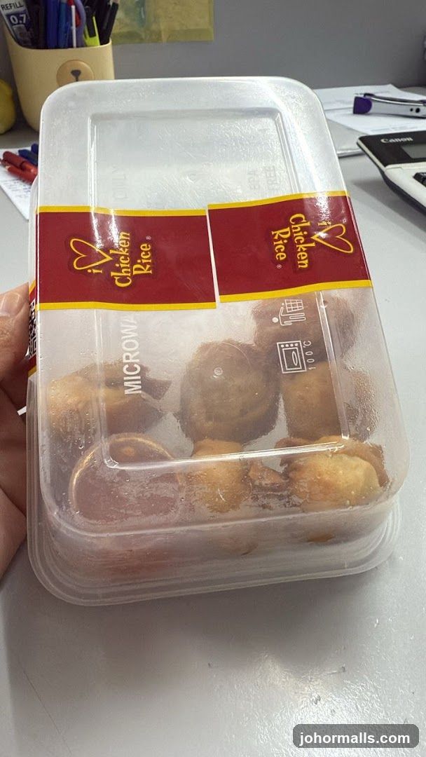 Hand holding chicken rice container