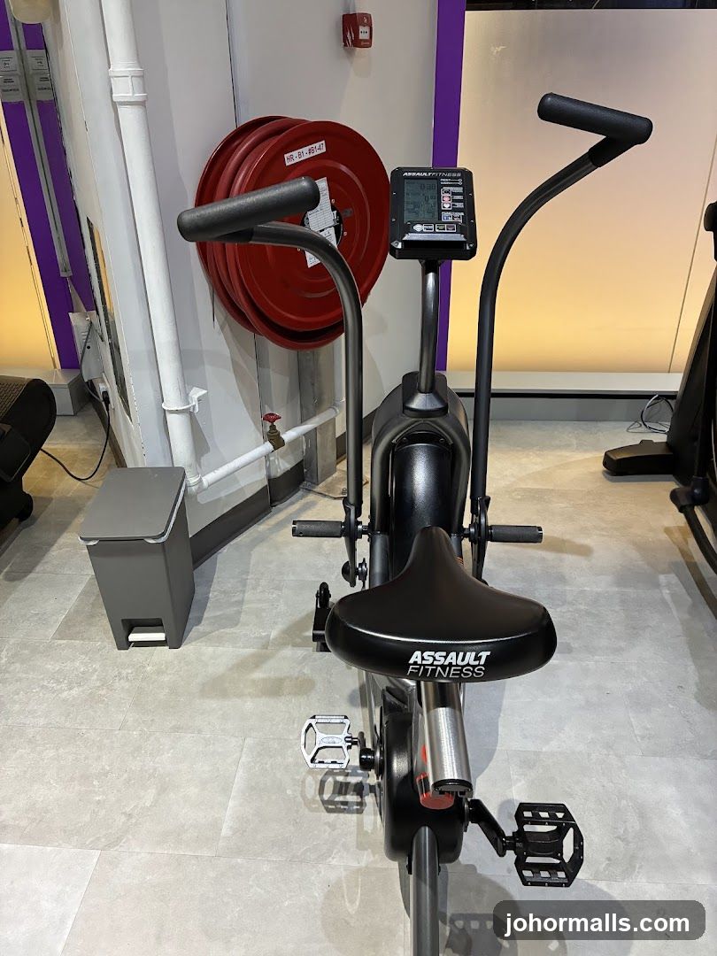 Assault Fitness Air Bike