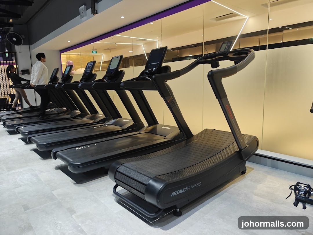 Gym Treadmills