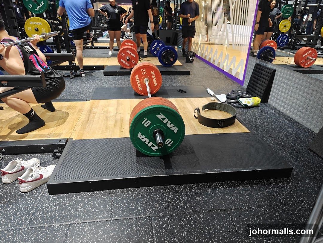 Gym Weightlifting Area