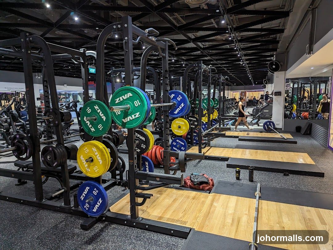 Gym Weight Racks