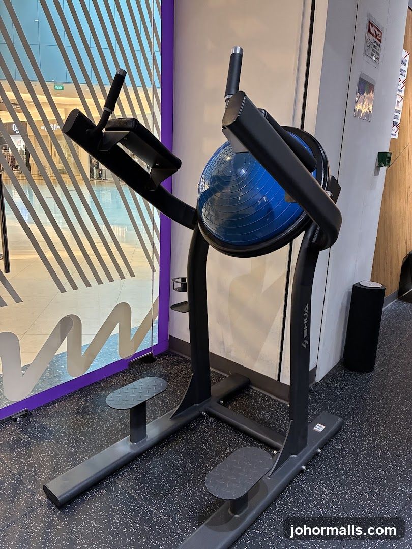 Gym Equipment