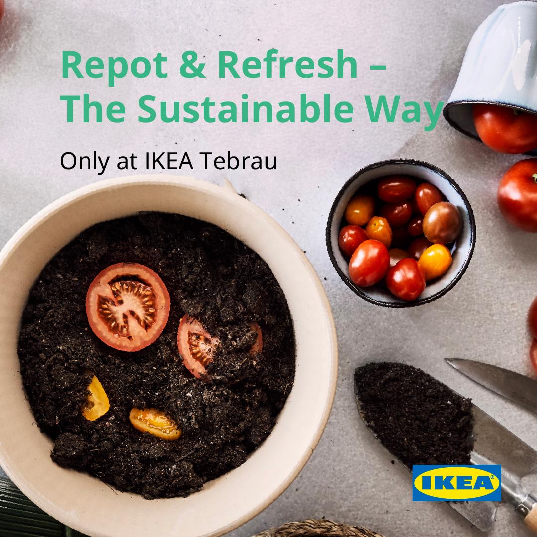 Repot and refresh your plant workshop at IKEA Tebrau every Saturday with free coffee grounds fertiliser and self-watering pots